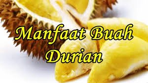 manfaat buah durian